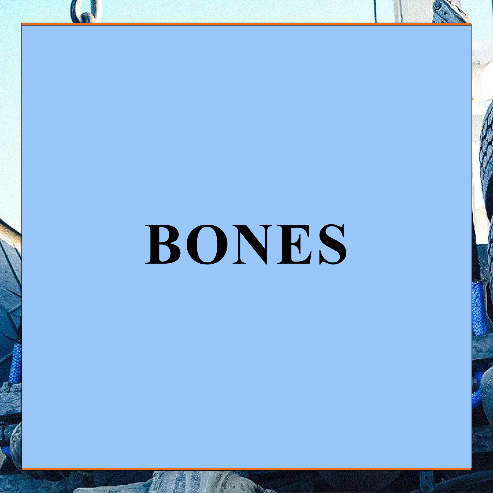 Bones™