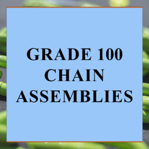 Grade 100 Chain Assemblies